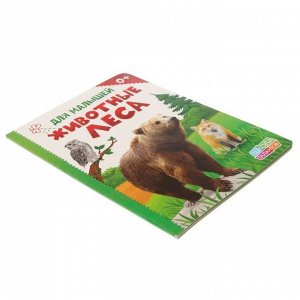Книжка картонная "Животные леса"
