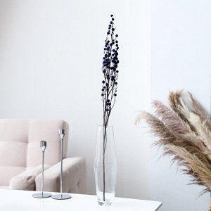 Сухие цветы «Молочай Миля» , 25, длина — 70 см, цвет фиолетовый