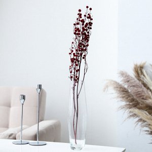 Сухие цветы «Молочай Миля» , 25, длина — 70 см, цвет красный