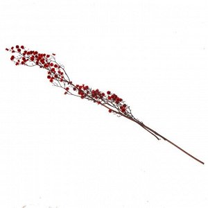 СИМА-ЛЕНД Сухие цветы «Молочай Миля» , 25 г, длина — 70 см, цвет красный