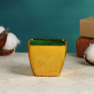 УЦЕНКА Флористическое кашпо «Аксель», с вкладышем из пенопласта, 5.5x5.5x5 см, золотистое