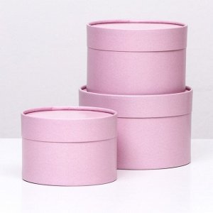 Набор шляпных коробок 3 в 1,«Пыльная роза»,16x10.14x9.13x8.5 см