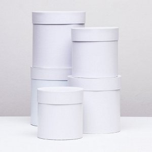 Набор круглых коробок 5в1 "Белизна перламутровая", 20 x 20 ‒15 x 15 см