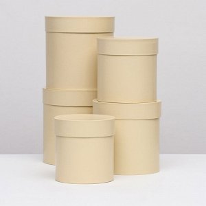 Набор круглых коробок 5в1 "Ваниль перламутровая", 20 x 20 ‒15 x 15 см
