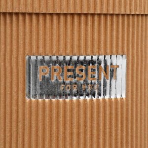 Коробка подарочная шляпная из микрогофры, упаковка, «Present for you», 12 х 12 см