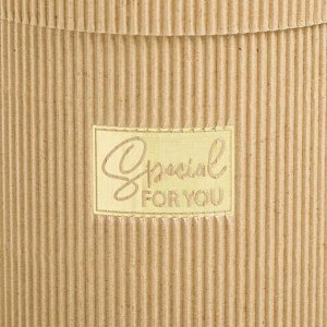 Коробка подарочная шляпная из микрогофры, упаковка, «Special for you», 15 х 15 см