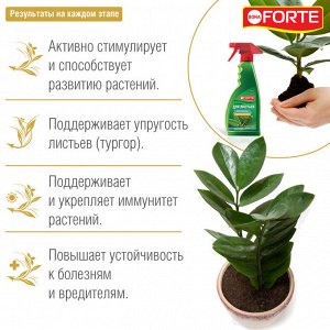 Спрей-тоник для листьев универсальный с витаминами и янтарной кислотой, Бона Форте / BONA Forte, 500 мл