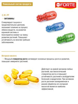 Спрей-тоник для листьев универсальный с витаминами и янтарной кислотой, Бона Форте BONA Forte, 500 мл