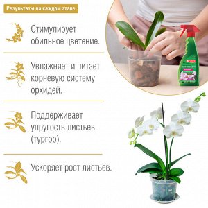 Спрей-тоник для орхидей с витаминами и янтарной кислотой Бона Форте / BONA Forte, 500 мл