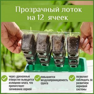 Мини-тепличка с регулируемым куполом влажности