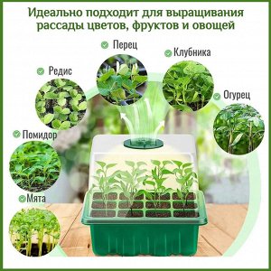 Хозяйственные товары Мини-тепличка с регулируемым куполом влажности
