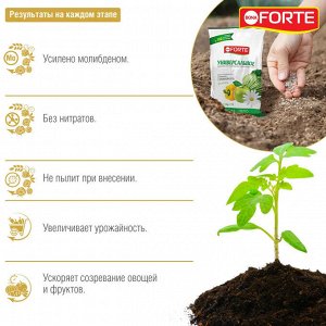 Удобрение универсальное для всех растений ВЕСНА-ЛЕТО комплексное с микроэлементами, гранулированное, Бона Форте / BONA Forte, 1 кг