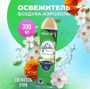 Glade Глейд Освежитель воздуха &quot;Свежесть утра&quot; 300 мл