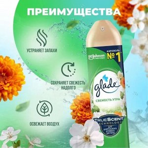 Glade Глейд Освежитель воздуха &quot;Свежесть утра&quot; 300 мл