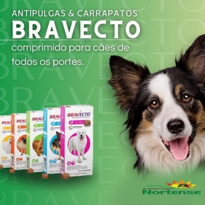 Simparıca, Bravecto (Турция) от блох и клещей