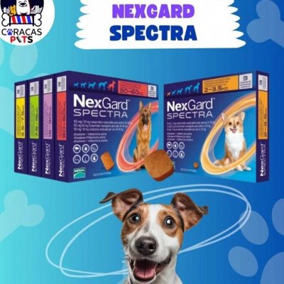Simparıca, Bravecto, NeXT gard (Турция) от блох и клещей