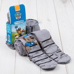 Колготки детские  &quot;Гончик&quot; PAW PATROL, серый, рост 98-104 см, 3-4 лет, 80% хл.,17% п/а, 3% эл   3246