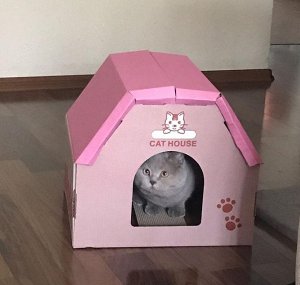 ХИТ!!! Домик для кошек картонный с когтеточкой