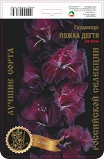 Гладиолус Ложка Дегтя 458,Фотин 2 р-р 7шт (Ф)