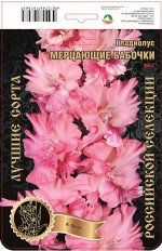 Гладиолус Мерцающие Бабочки 573,Громов 1 р-р 7шт (Ф)