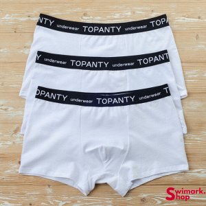 Мужские боксеры TOPANTY TP-8001