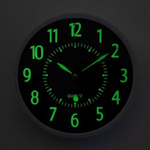 Часы настенные, серия: Интерьер, "Ходики", дискретный ход, светящиеся, 1АА, 24.5 х 24.5 см