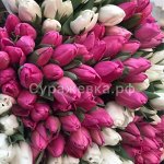 Милые дамы с праздником весны 🌸