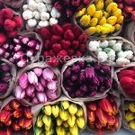 Милые дамы с праздником весны 🌸