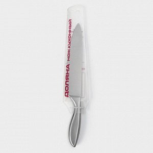 Нож - шеф Доляна Salomon, длина лезвия 20 см, цвет серебристый