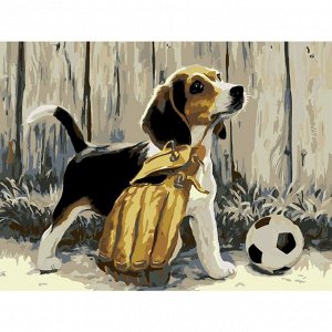 Картина по номерам на холсте с подрамником «Щенок с мячом», 40x30 см