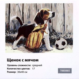 Картина по номерам на холсте с подрамником «Щенок с мячом», 40x30 см