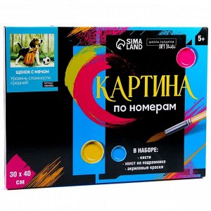 Картина по номерам на холсте с подрамником «Щенок с мячом», 40x30 см