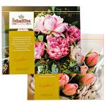 чай St.SebaSTea &#039;Festival VIII&#039; Ассорти 60 пакетиков