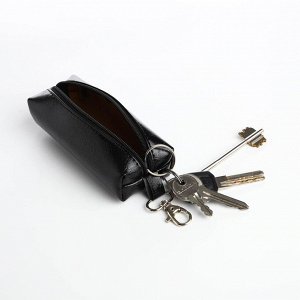 Ключница на молнии, длина 13 см, кольцо, карабин, цвет чёрный