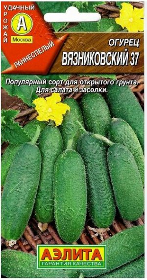 Огурец Вязниковский 37 20шт