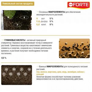 Удобрение органо-минеральное  Здоровье для фиалок бегоний, жидкое, Бона Форте BONA Forte, 285 мл
