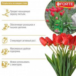 Удобрение минеральное  Весна-Лето универсальное, канистра, жидкое, Бона Форте / BONA Forte, 1,5 л