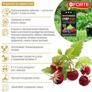 Удобрение органическое  Супер ягода цеолит и аминокислоты, Бона Форте / BONA Forte, 2 кг