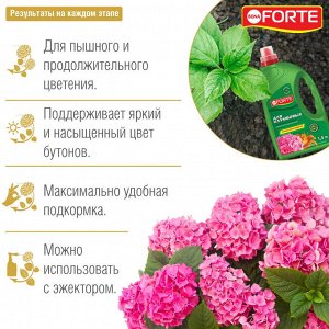 Удобрение минеральное  для клумбовых и розовых гортензий, канистра, жидкое, Бона Форте BONA Forte, 1,5 л