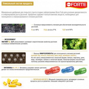 Удобрение минеральное BONA Forte Лето-Осень универсальное 1,5л канистра жидкое