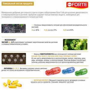 Удобрение минеральное Лето-Осень универсальное, канистра, жидкое, Бона Форте / BONA Forte, 1,5 л