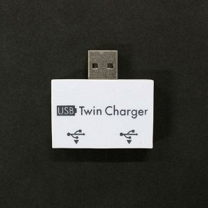 USB Twin Charger (двойник)