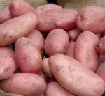 Картофель семенной &quot;Ред Леди&quot;, ранний