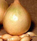 Лук &quot;Центурион&quot; 0,5 кг   Не заказываем, больше не будет
