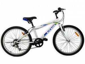 VIVA Timor MTB  24" (B) 6SP RA-25-111A (белый/синий)