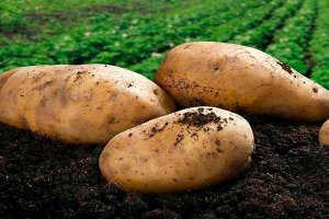 Добрая Сила Удобрение открытого грунта Картофель-Корнеплоды пак., 0,9 л