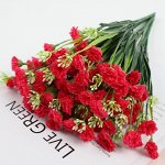 Гвоздика, 18 соцветий, 35см