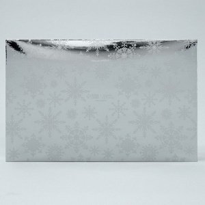 Коробка для для муссовых пирожных «Серебристая», 27 х 17.8 х 6.5 см
