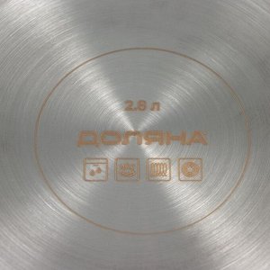 Кастрюля Доляна «Грейт», 2.8 л, капсульное дно, индукция, нержавеющая сталь