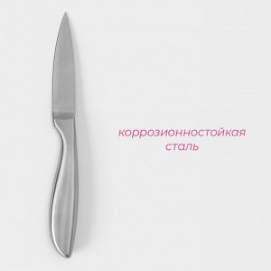 Нож для овощей кухонный Доляна Salomon, длина лезвия 9,5 см, цвет серебристый